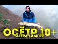Осетр в Краснодаре | Озера Адыгеи | Первый день | Рыбалка с Barrakuda show