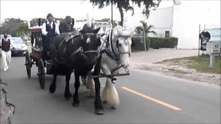 Horse & Carriage Rides & Events, Inc. funeral serviced with Fuller Brothers 1.30.16
