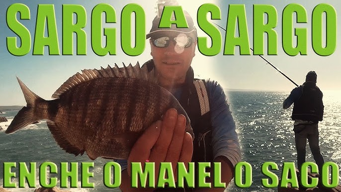 Wild Manolo: Los Secretos de la Pesca Surfcasting