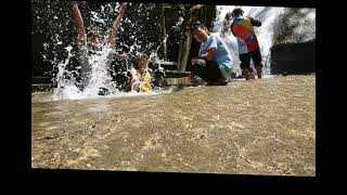 Download Lagu DJ sholawat ya toybah #dj #djviral #sholawat #music MP3