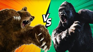 GRIZZLY BEAR VS GORILLA : Who would actually Win? by Animal Verse 123 views 2 years ago 4 minutes, 38 seconds