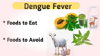 Foods to Eat and Avoid in Dengue