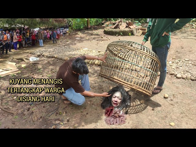 Viral ... Reaksi warga melihat kuyang menangis tertangkap disiang hari ! class=