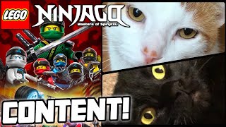 Cats Pick Their Favorite Ninjago Ninja! 