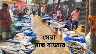 রাজধানীর সেরা মাছ বাজার | Best Fish Market In Dhaka
