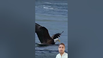 Al Ikhlas #egzonibrahimi #سورة_الإخلاص #ikhlas #shortvideo #nature