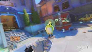 Overwatch 2: Role queue Runasapi Bastion