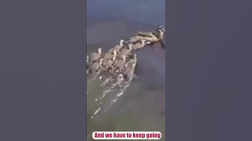 Turning Challenges into Opportunities