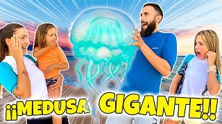 NOS ENCONTRAMOS UNA MEDUSA GIGANTE EN LA PLAYA 😱 NOS ASUSTAMOS MUCHO | Familia Amiguindy