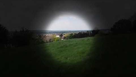 Retinis Pigmentosa Simulation - Park