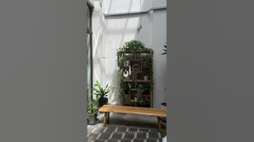 سورة الكهف اية 109 بصوت القارئ الشيخ علي جابر رحمه الله🤍 #قرأن #علي_جابر #رحمه #توبه #مغفره #محمد