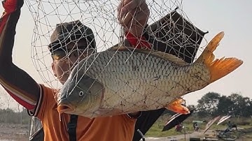 Mồi Câu Cá Chép Đơn Giản Câu Hồ Dịch VỤ