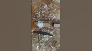 Tôi làm con dao mèo bằng thép trục tàu thủy độ sắc trưa từng thấy tôi chỉ nói một câu rằng tuyệt vời