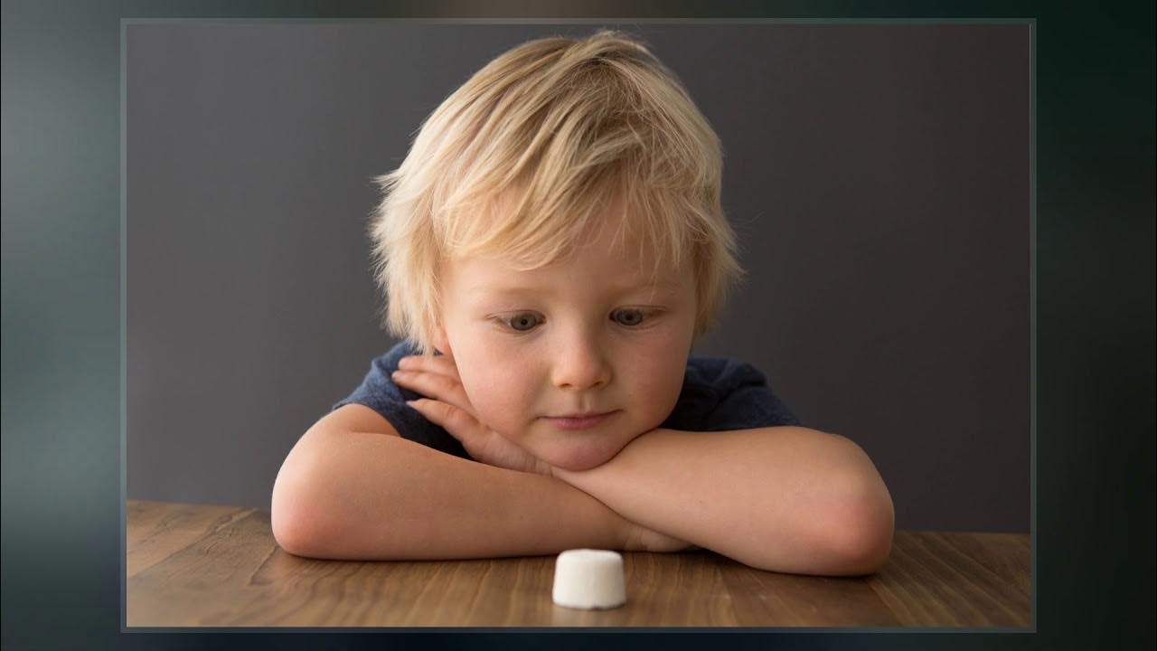 Stanford Marshmallow Experiment YouTube