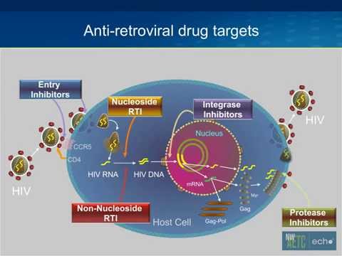 Initial Antiretroviral Therapy