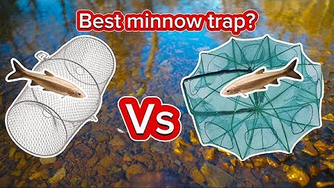 Minnow Trap Showdown: Which One Catches More Fish?
