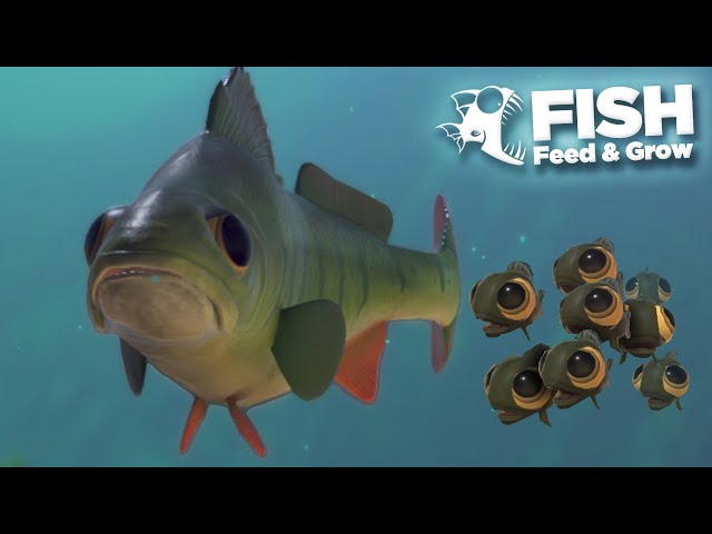 DORY PROTECTS HER KIDS - Feed and Grow Fish - Part 48