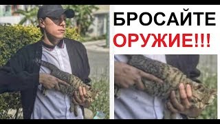 Лютые приколы. Котопушка