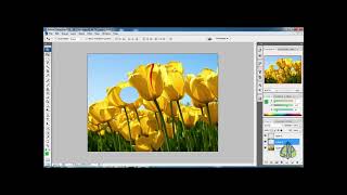 PHOTOSHOP BASIC IN TAMIL CS3 screenshot 5