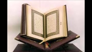الشيخ بكر عبد الجيد ابو النجا سورة الانعام