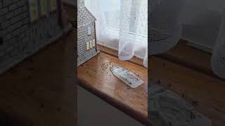 Mr Chu Ants 🐜 #puppet #smlpv #funny #comedy #jeffy #puppets #ants