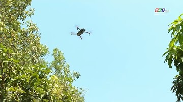 Ứng dụng công nghệ, thiết bị thông minh trong quản lý, bảo vệ rừng | BRTgo