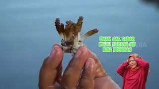 Berburu Kerang Ceker Ayam di Pantai Legok | ENAH BIKIN ENAK (21/07/22) Part 1