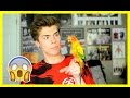 WATCH THIS BEFORE GETTING A PET BIRD (feat. Mango)!