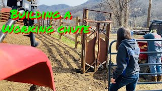 How to build a cattle chute....