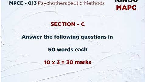 Assignment Motivator (2020- 2021) - Psychotherapeutic Methods - MPCE - 013