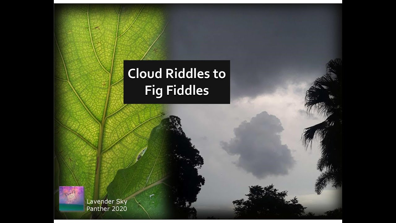 13 | Cloud Riddles to Fig Fiddles - YouTube