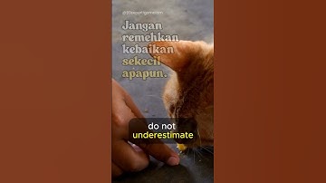 Jangan Meremehkan Kebaikan Kecil #islamicstatus #islamstatus #islamicshorts #islamshorts