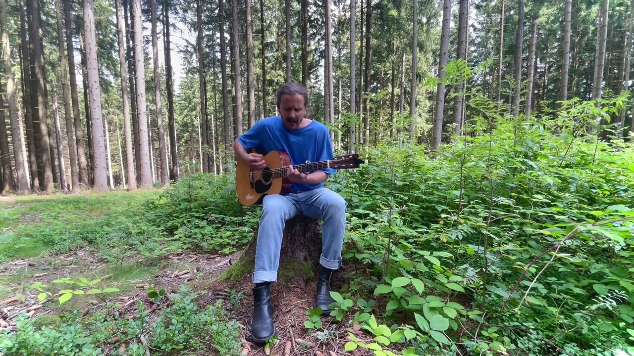 ADRIAN ARTMANN // DURCHZUG (Wald Unplugged)