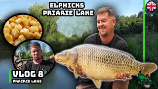 Download Lagu This Is the Only Bait You’ll Ever Need at Elphicks Prairie Lake! MP3 Download Lagu This Is the Only Bait You’ll Ever Need at Elphicks Prairie Lake! MP3