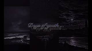 Heart Like A Grave - Insomnium ~lyrics