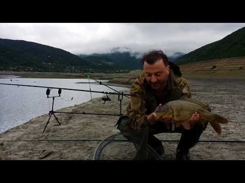 ვასო ფხაკაძე vs კარპი 2018