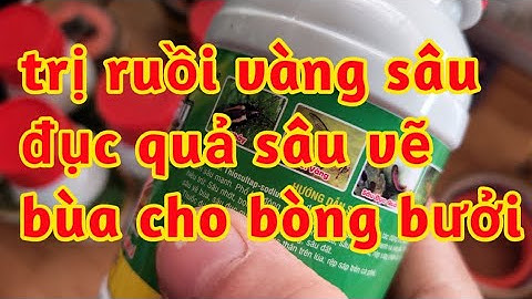 đặc trị sâu đục quả ruồi vàng trên bòng bưởi trừ sâu vẽ bùa trên các cây có múi 023 35