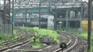 2010-08-18 [東海道貨物線] EF65 1074 + コキ200形 + コキ100系, 高速貨73