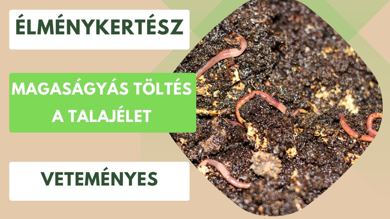 Talajélet beindítása a magaságyásban🪱