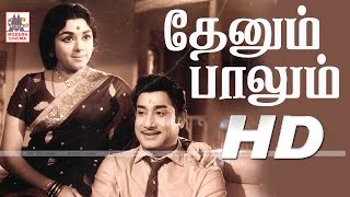 Thenum Palum Full Movie HD தேனும் பாலும் சிவாஜி சரோஜாதேவி பத்மினி நடித்த காதல் காவியம்