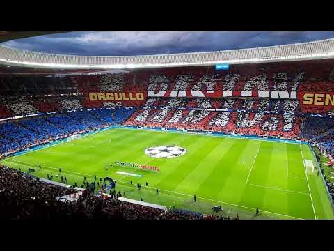 Derby della Lanterna Genoa - Sampdoria 1-1 - Nordic Stadiums