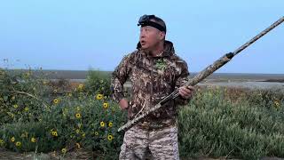 Dove hunting first day tua noog thawj hnub 9-1-23