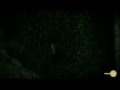Shadow of the Colossus localização gold coin #2