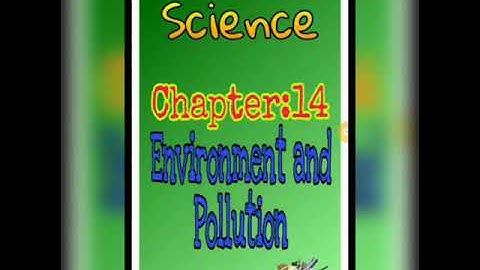 CLASS-4 SCIENCE (CHAPTER-14: ENVIRONMENT AND POLLUTION- BACK EXERCISE)