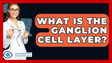 What Is The Ganglion Cell Layer? - Optometry Knowledge Base