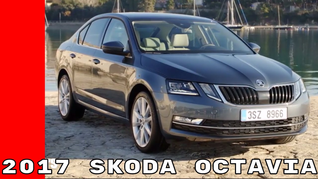 skoda octavia тест по чеснаку