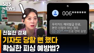 취재한 기자도 무심코 누를 뻔한 피싱…확실한 예방법은? / SBS / 친절한 경제