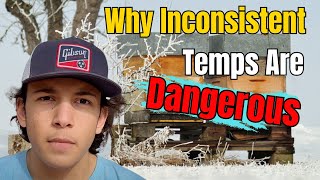 Beekeeping: Why Temperature Swings Kill More Bees Than Cold