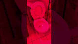 Terminal B LaGuardia Airport All Genders Restroom 2018 Emily Paulichi Toilets