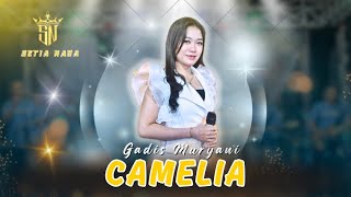 CAMELIA - GADIS MURYANI | SETIA NADA Music Live Sumbergalih